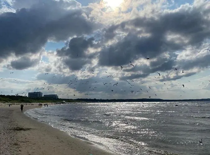 Przy Plazy Promenada 아파트 슈비노우이스쳬